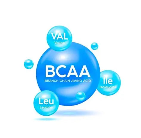 AMINO/BCCA/EAA