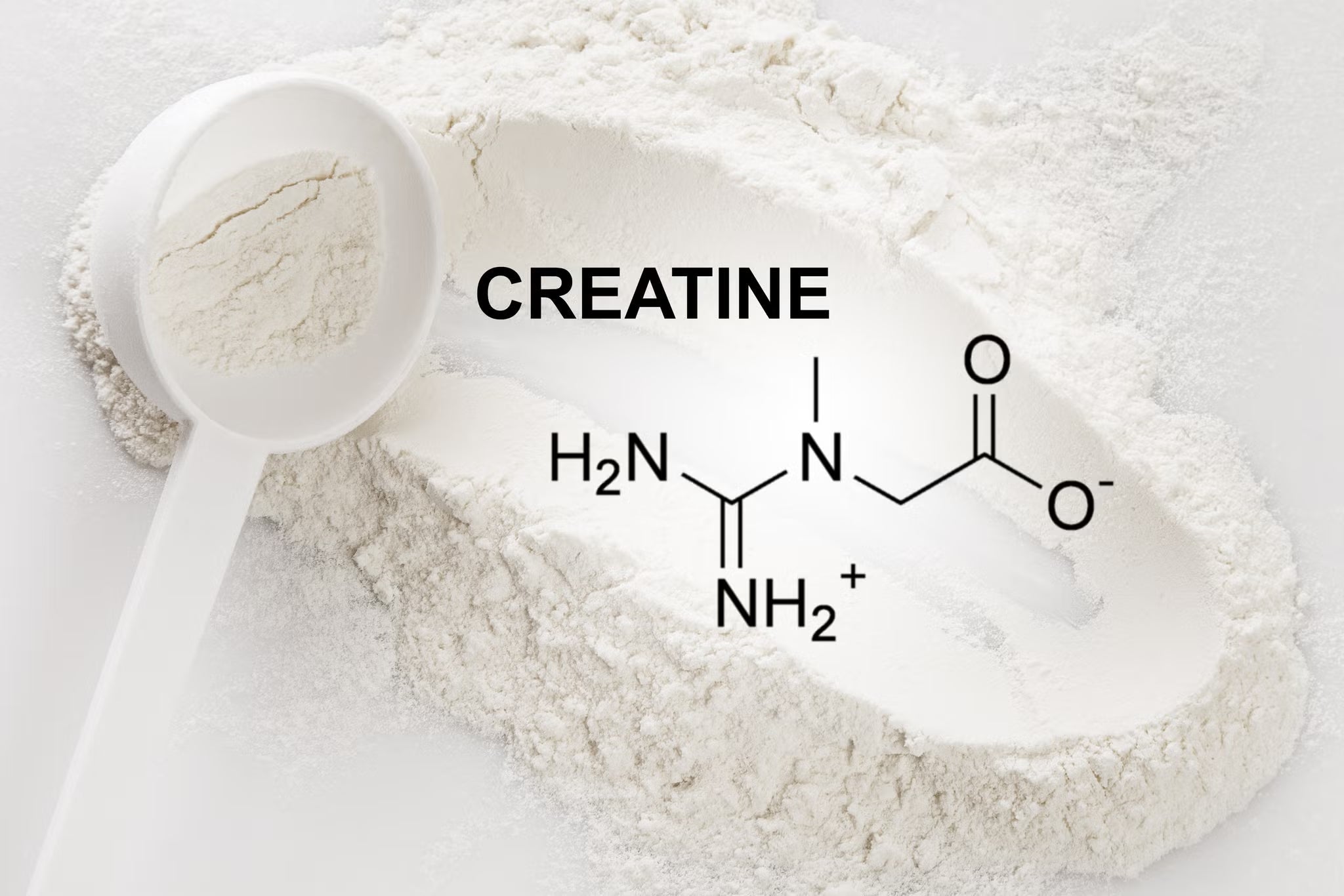 CREATINE