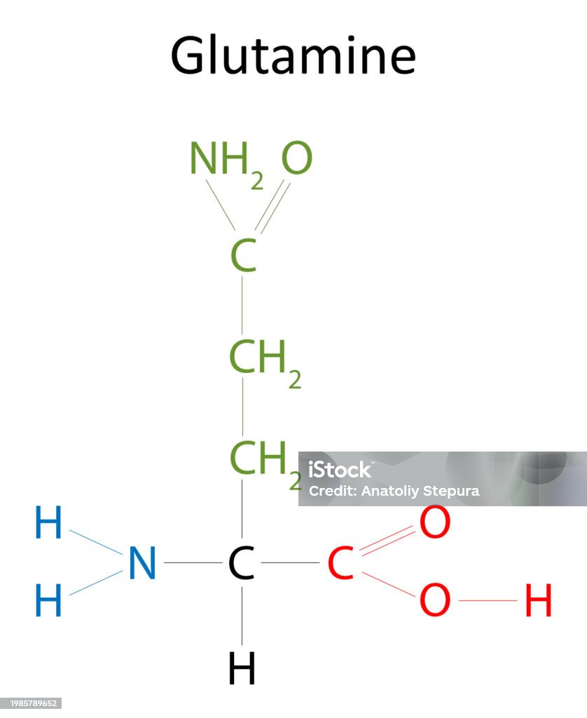 GLUTAMINE