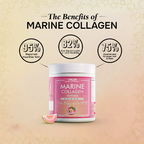 Ripped up nutrition Marine Collagen
